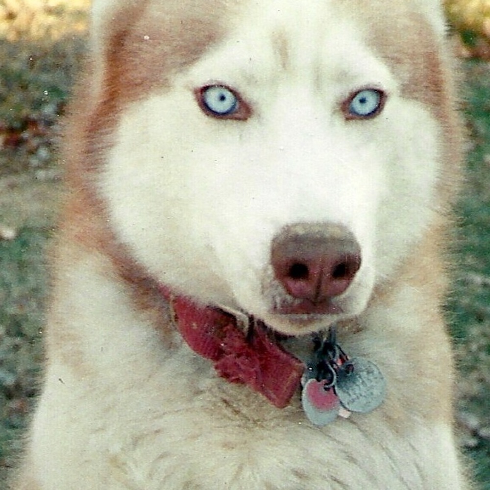 Meet your Posher, Tammy