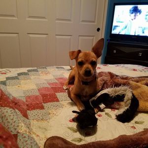 Meet your Posher, Terri