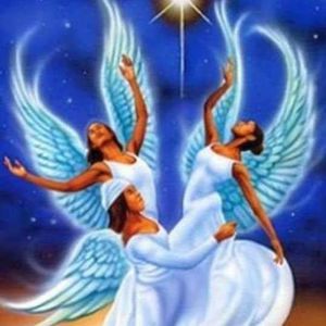 Meet your Posher, Colette williams