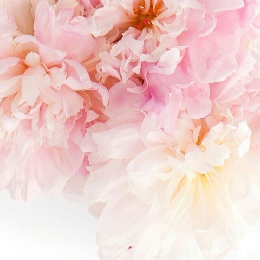 Meet your Posher, Kathryn