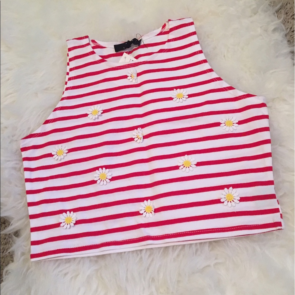 Red and white stripe sunflower crop - Medium