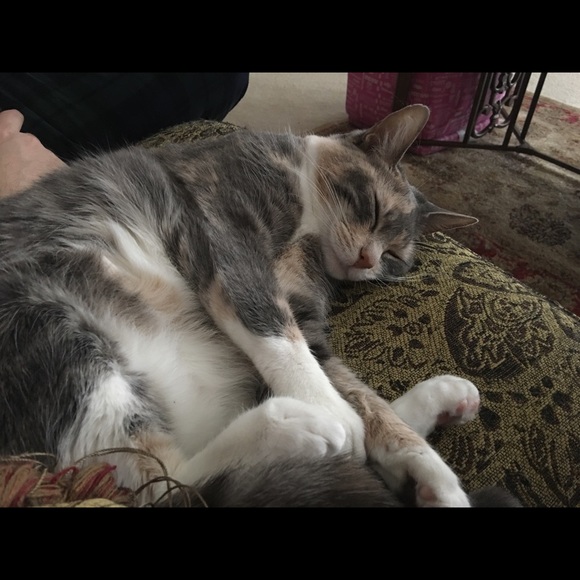 Meet your Posher, Inge - Picture 1 of 1