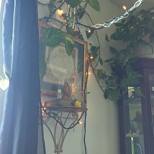 Meet your Posher, Marcia