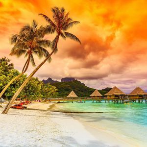 Meet your Posher, Omar