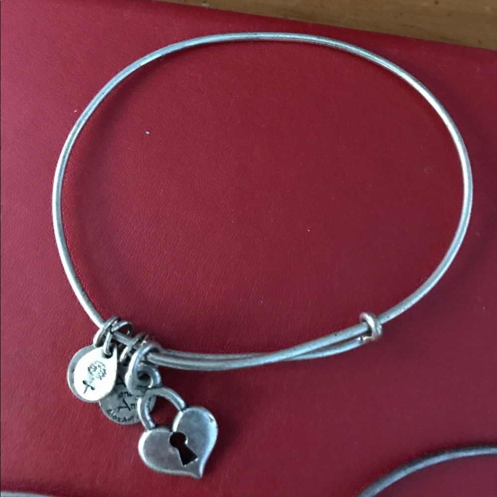 heart lock alex and ani bangle