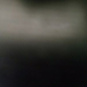 Meet your Posher, Darlene