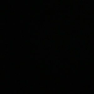 Meet your Posher, Xavier