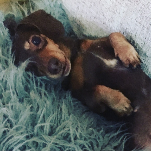 Meet your Posher, Alexis - Picture 3 of 4