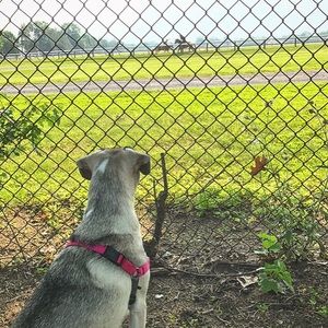 Meet your Posher, Nicholas