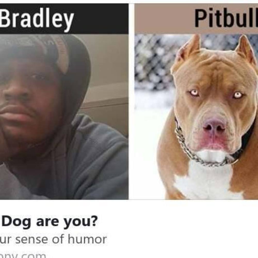 Meet your Posher, Gary