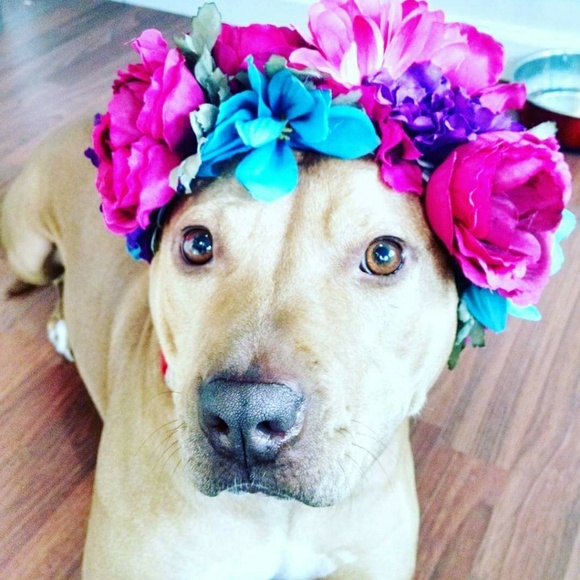 Stop in and say Hi! - Picture 2 of 3