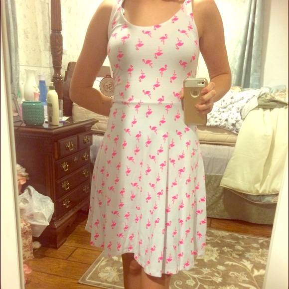 kohls flamingo dress