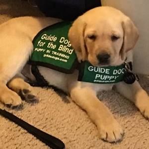 Meet your Posher, Melody