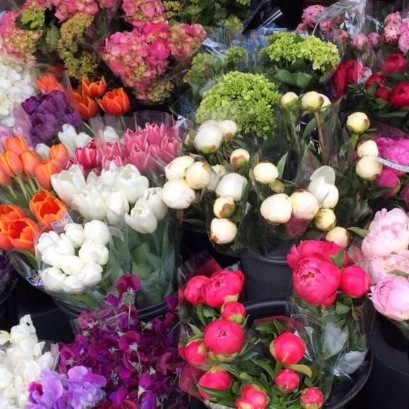 Meet your Posher, Leirys - Picture 1 of 1