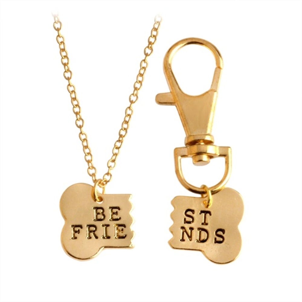 Dog & Owner Best Friends Necklace Tag Gift Set_2