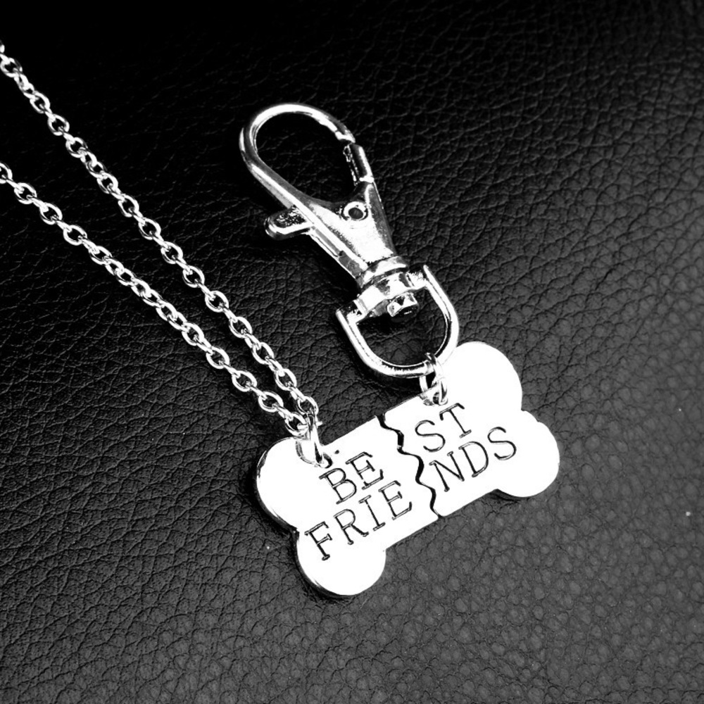 Dog & Owner Best Friends Necklace Tag Gift Set_5