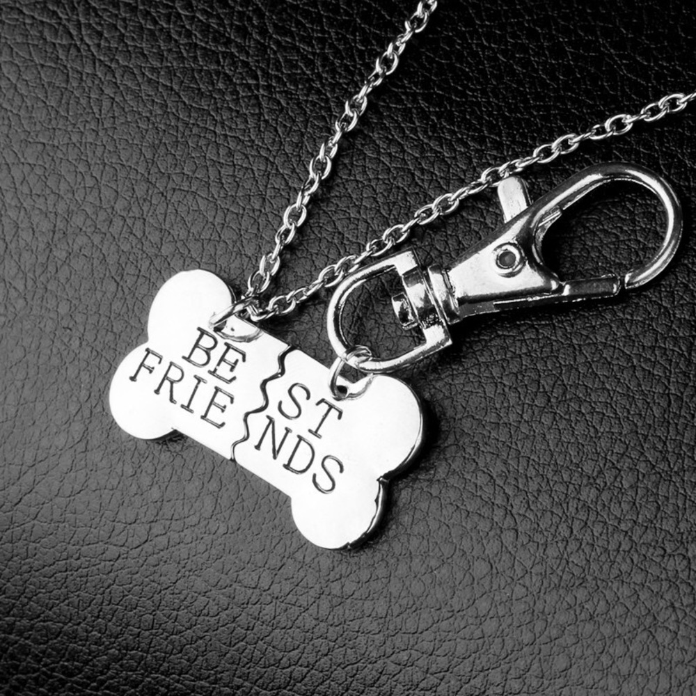 Dog & Owner Best Friends Necklace Tag Gift Set_6