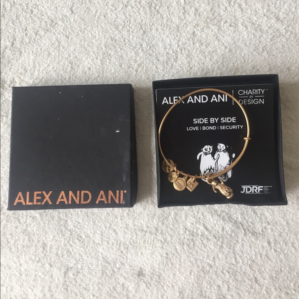 Alex and Ani otter bracelet