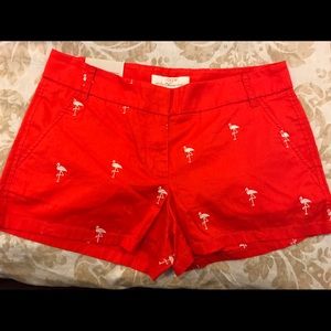 Brand new shorts!