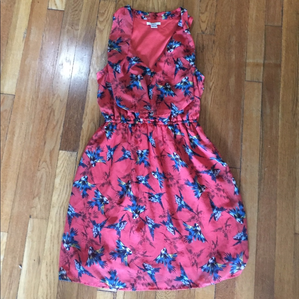 Bar III dress with birds