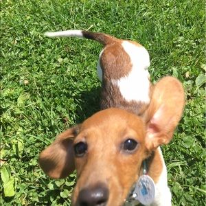 Meet your Posher, Lynn