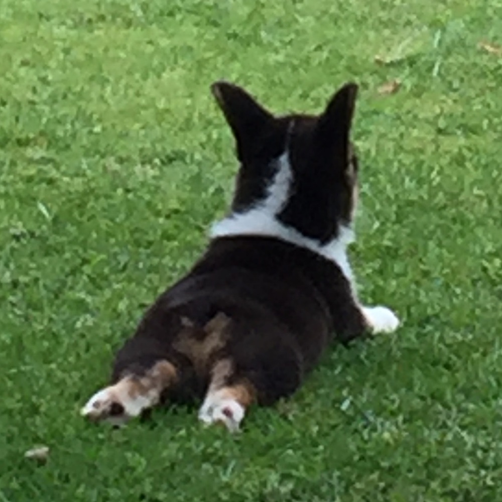 Meet your Posher, Kathy