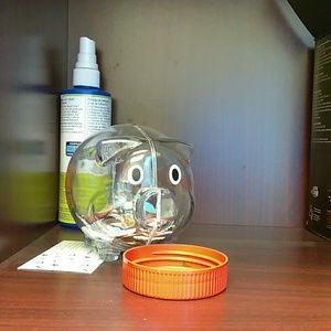 Meet your Posher, Roni