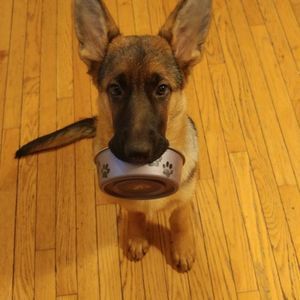 Meet your Posher, Luanne