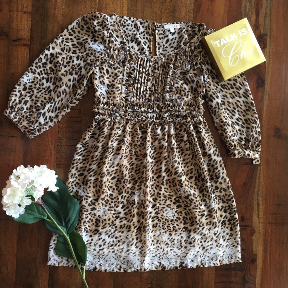 Leopard Women's Dress