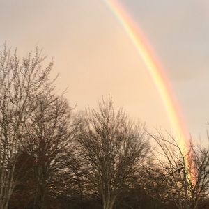 Meet your Posher, Ritche manley