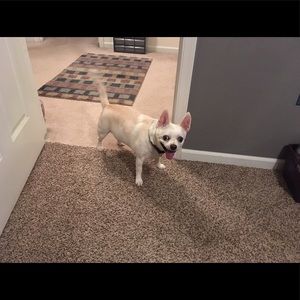 Meet your Posher, Chris