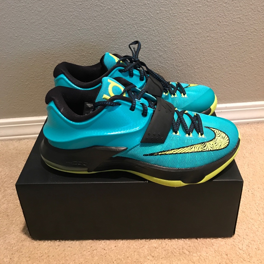 Kd 7's