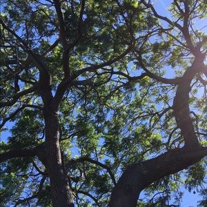 Meet your Posher, Dan