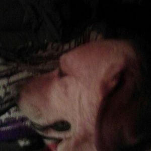 Meet your Posher, Brenda