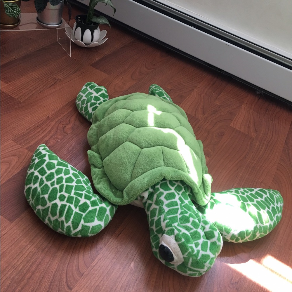 sea turtle purchased at legendary FAO Schwartz