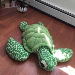 sea turtle purchased at legendary FAO Schwartz