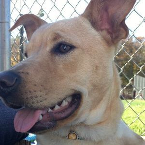 Meet your Posher, Kaitlin