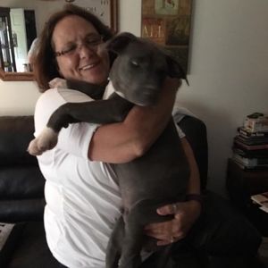 Meet your Posher, Robin