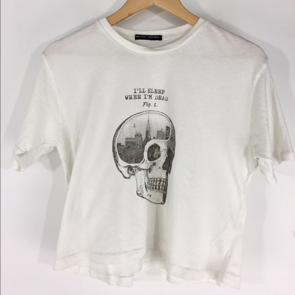 Brandy Melville Crop Top