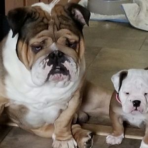 Meet your Posher, Kris