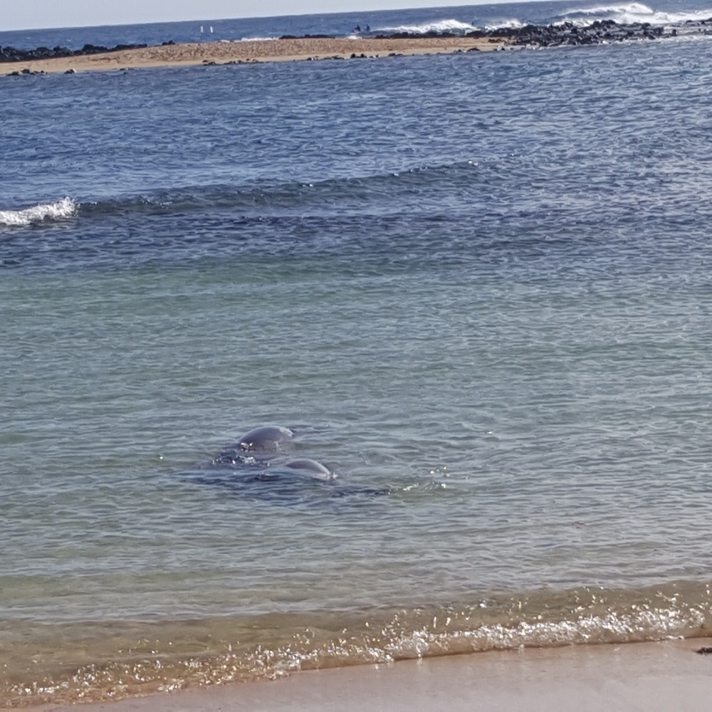 Meet your Posher, Natalia