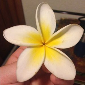 Meet your Posher, Irelind