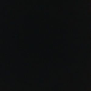 Meet your Posher, Tabitha