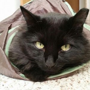 Meet your Posher, Brett