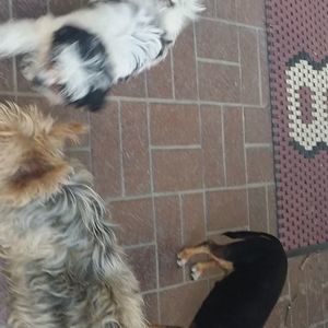 Meet your Posher, Gina