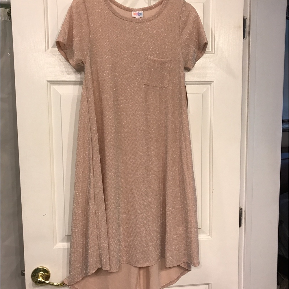 Lularoe Carly Dress