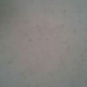 Meet your Posher, Keri