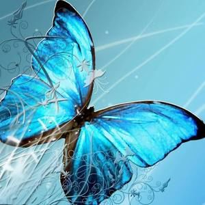 Meet your Posher, Joann