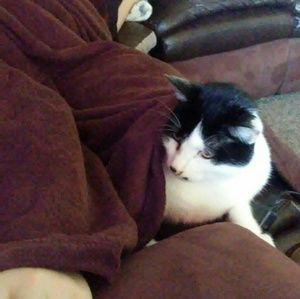 Meet your Posher, Bethany