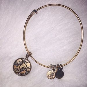 Alex and Ani bracelet